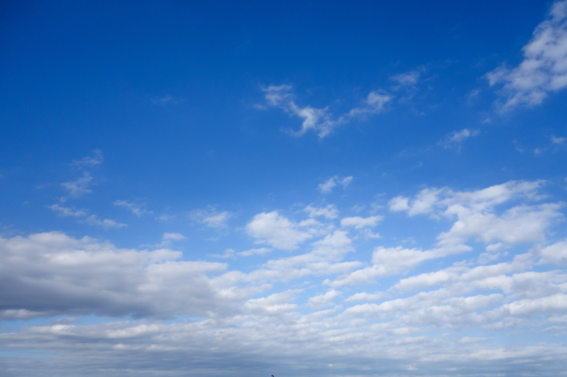 鰯雲のある青空（横）のフリー写真素材