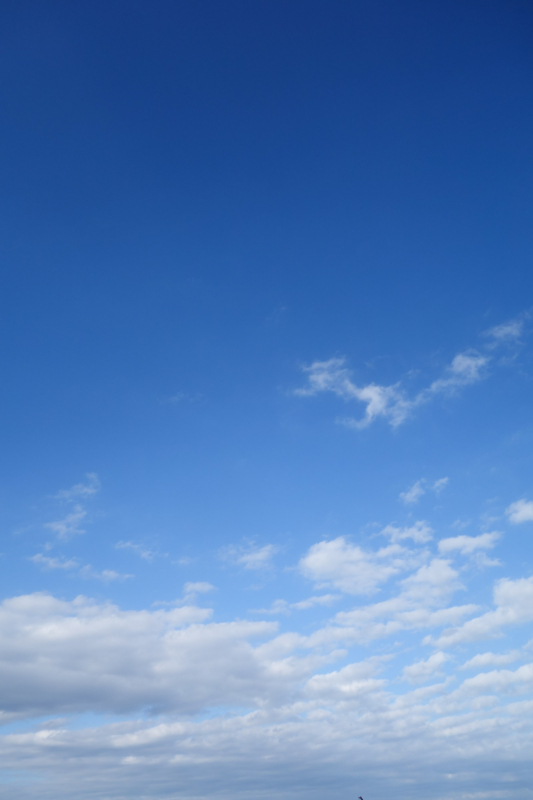 鰯雲のある青空（縦）のフリー写真素材