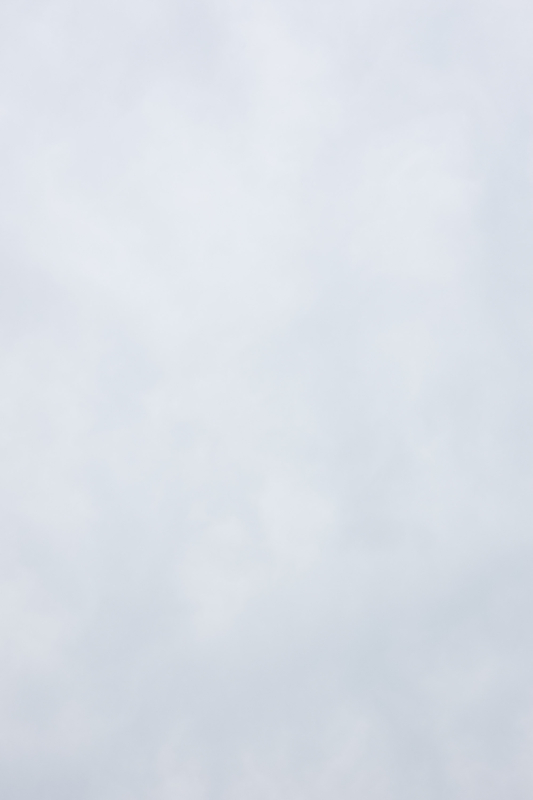 冬の曇り空（縦位置）のフリー写真素材