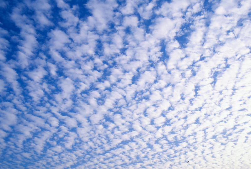 空一面に広がる鰯雲の青空のフリー写真素材