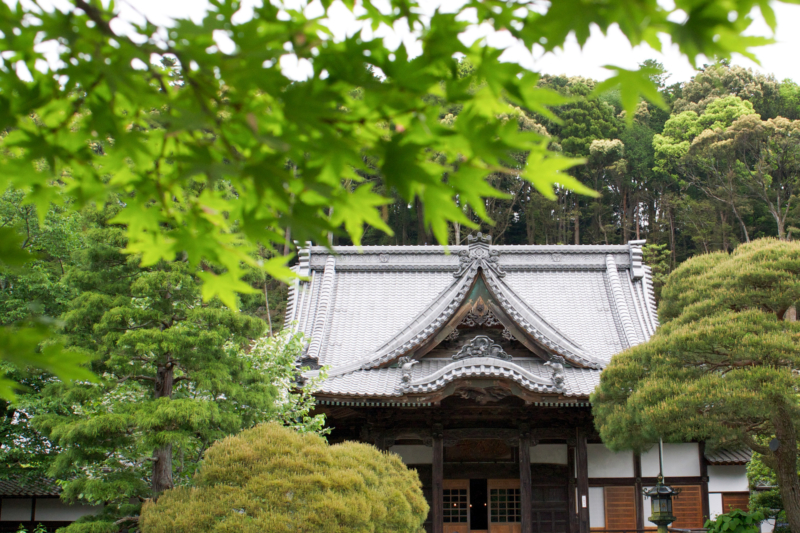 修禅寺ともみじのフリー写真素材