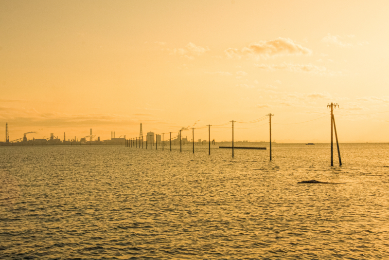 江川海岸の電柱のフリー写真素材