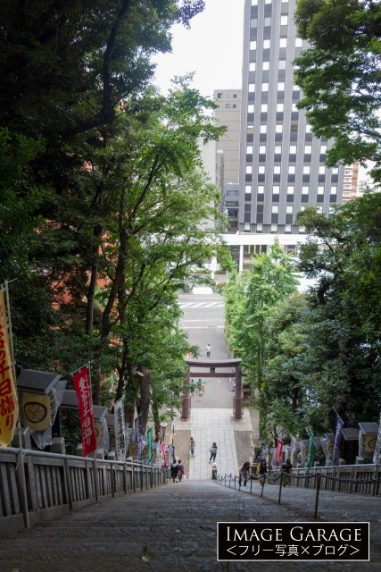 上から見た愛宕神社の出世の階段のフリー写真素材（無料）