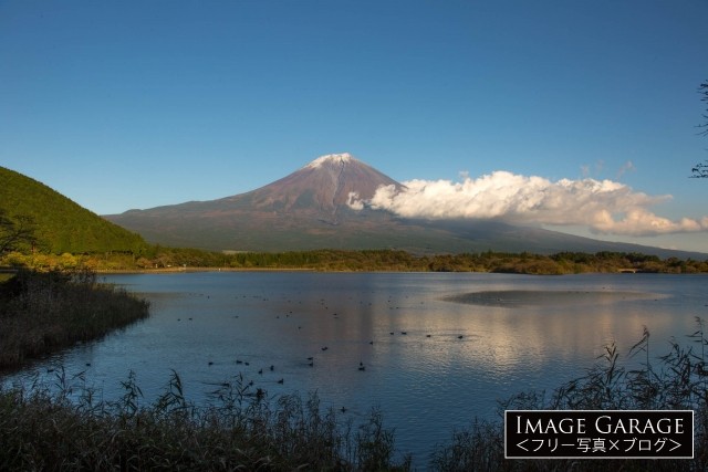田貫湖から見た富士山のフリー写真素材（無料）