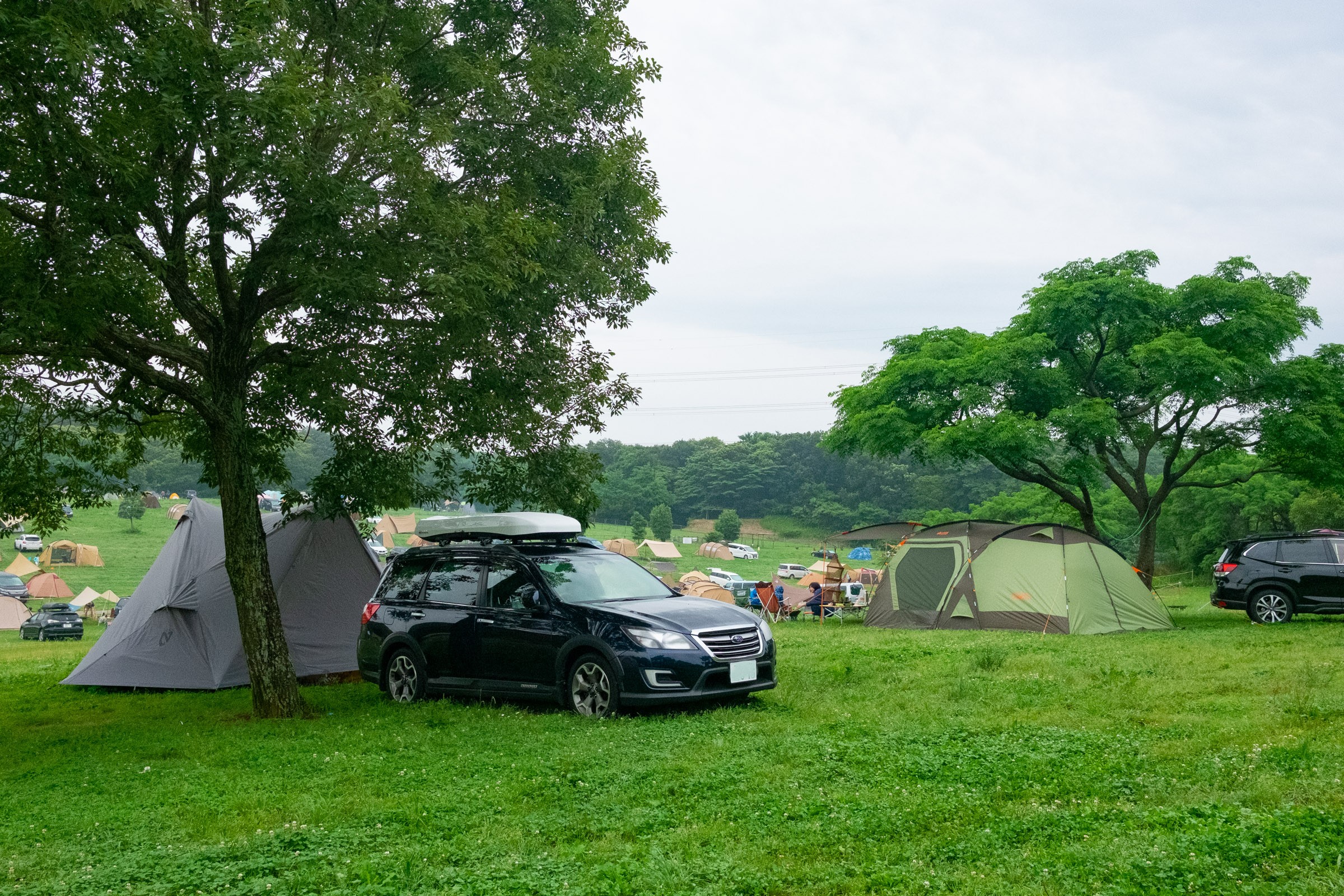 森のまきばキャンプ場の「オートキャンプ風景」【フリー写真有】イメージガレージ