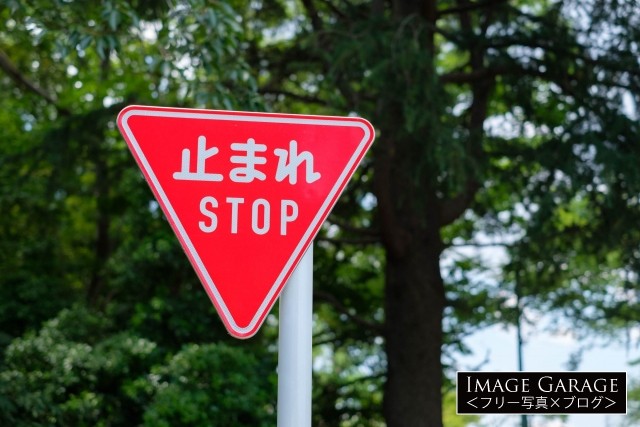 STOPが併記された止まれの標識のフリー素材写真（無料）