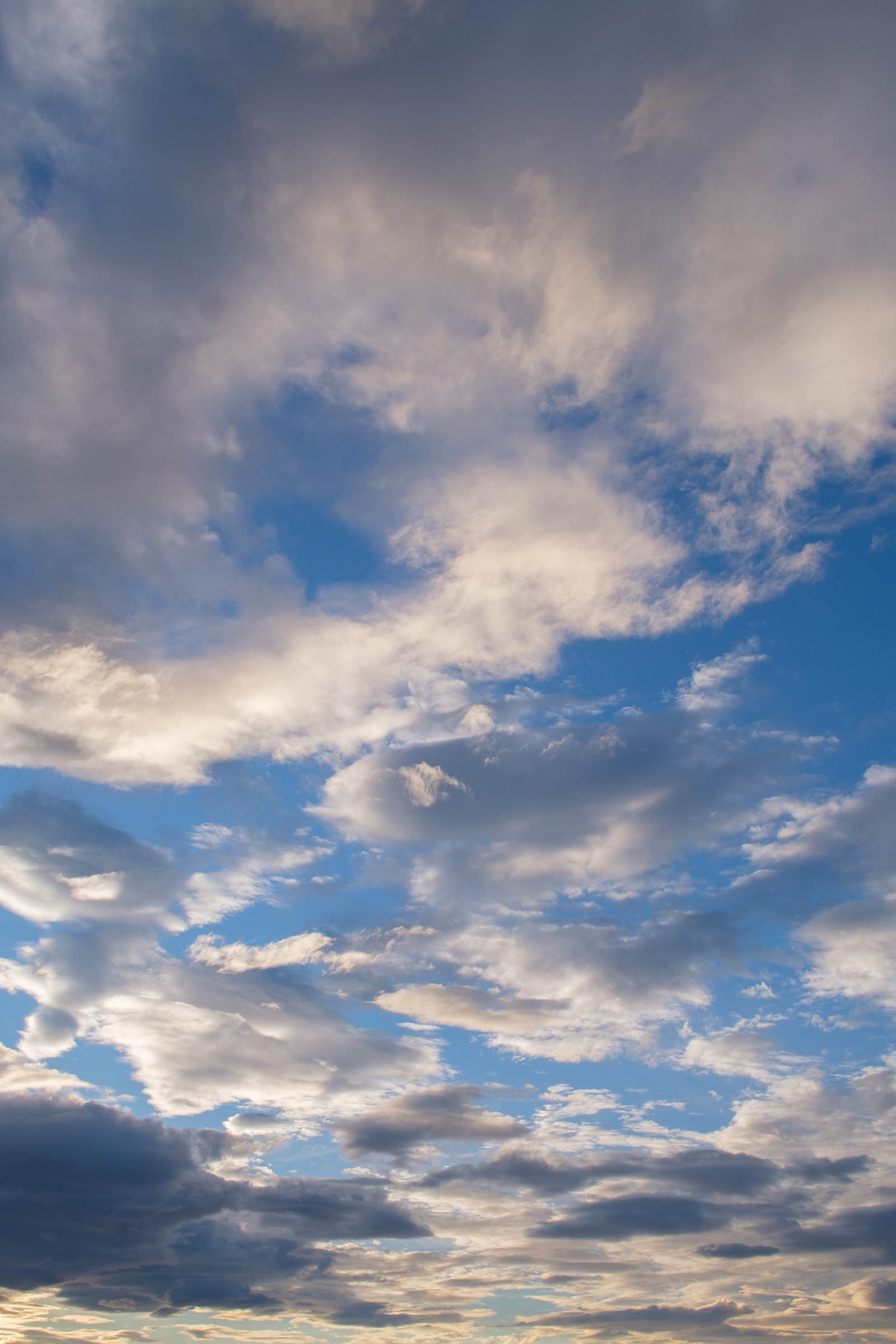 美しい雲が広がる青空 縦位置 のフリー写真素材 イメージガレージ