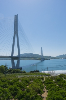 広島県尾道市側から見た多々羅大橋
