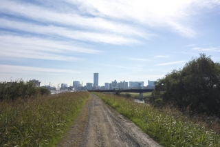 鶴見川サイクリングコース・新横浜・小机付近の砂利道