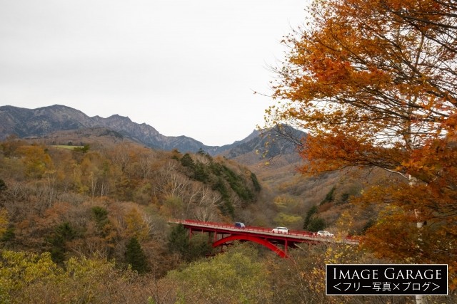 東沢大橋展望台（赤い橋）・清里の紅葉のフリー素材写真（無料）