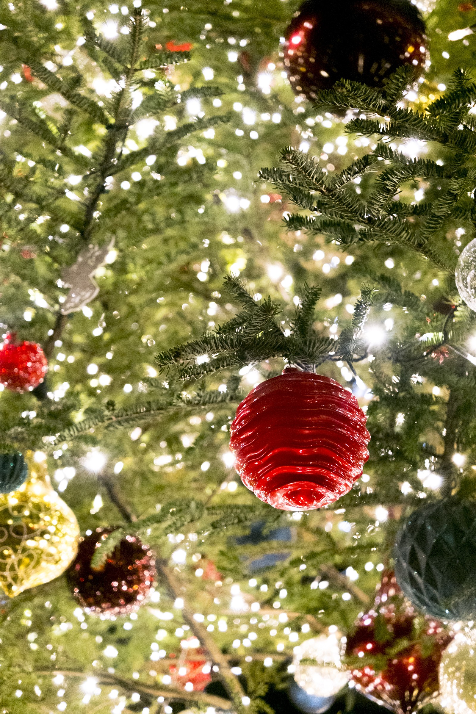 キラキラのクリスマスツリー アップ のフリー写真素材