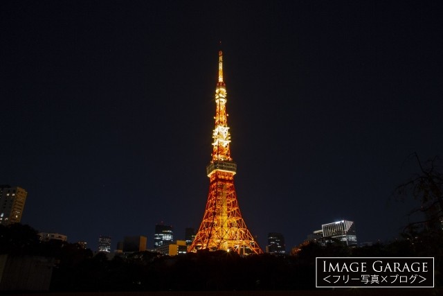 東京タワー・ランドマークライト（冬バージョン）のフリー写真素材（無料）