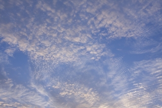 複雑な模様のうろこ雲