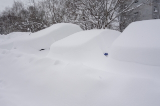 雪に埋もれた車