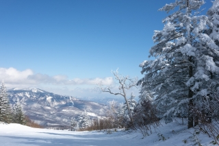 パルコールつま恋スキー場の樹氷のプレストコース