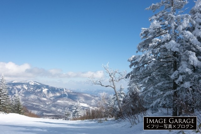 パルコールつま恋スキーリゾートの樹氷のブレストコースのフリー写真素材（無料）