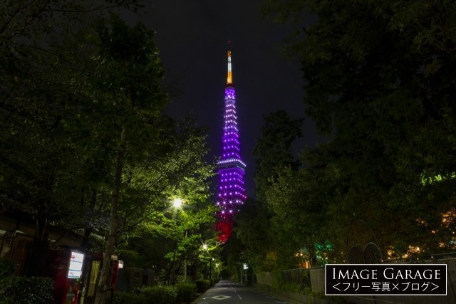 増上寺北側の路地から9月秋草色の東京タワーのフリー画像（無料写真素材）