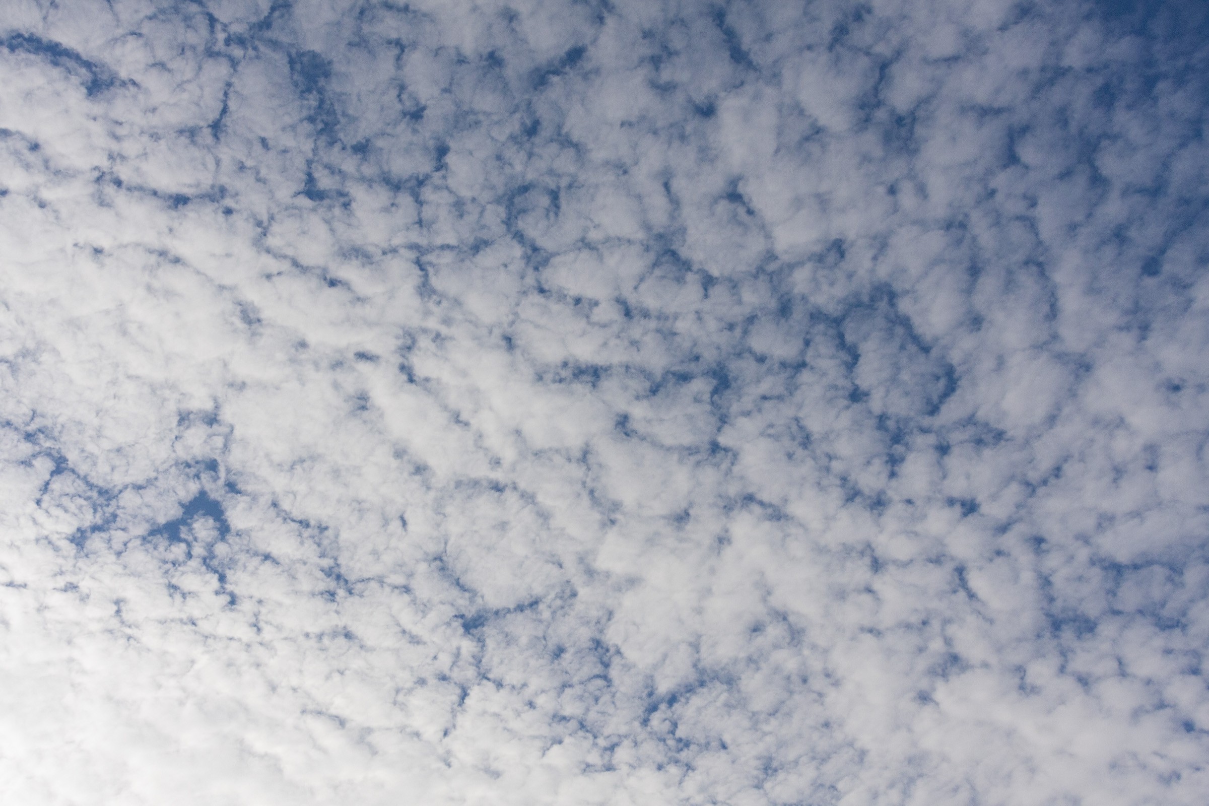 青空を覆うひつじ雲のフリー写真素材 イメージガレージ
