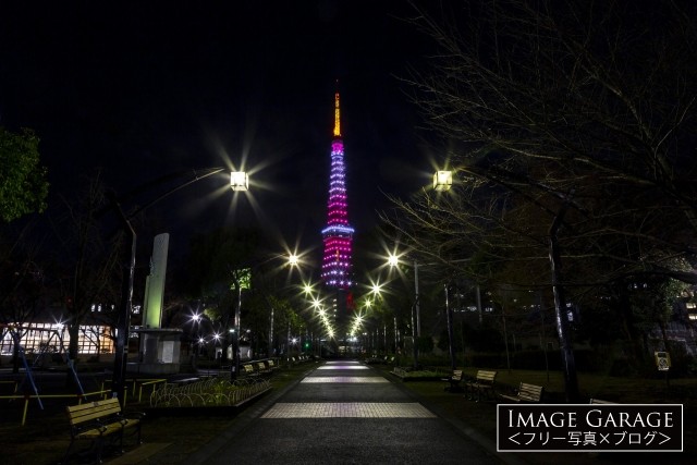 LEDでライトアップされた2月紅梅色の東京タワーのフリー写真素材（無料）