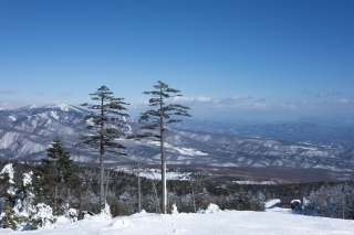 パルコールつま恋スキーリゾートから眺める冬の山々