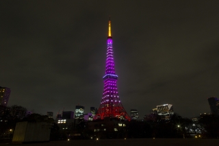 3月・桜色の東京タワー