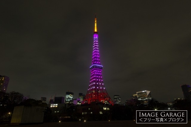 3月・桜色の東京タワーのフリー画像（無料写真素材）