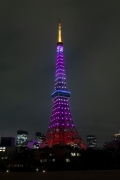 桜色の3月の東京タワー（縦）