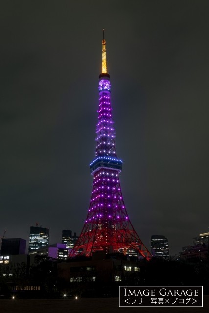 桜色の3月の東京タワー（縦）のフリー画像（無料写真素材）