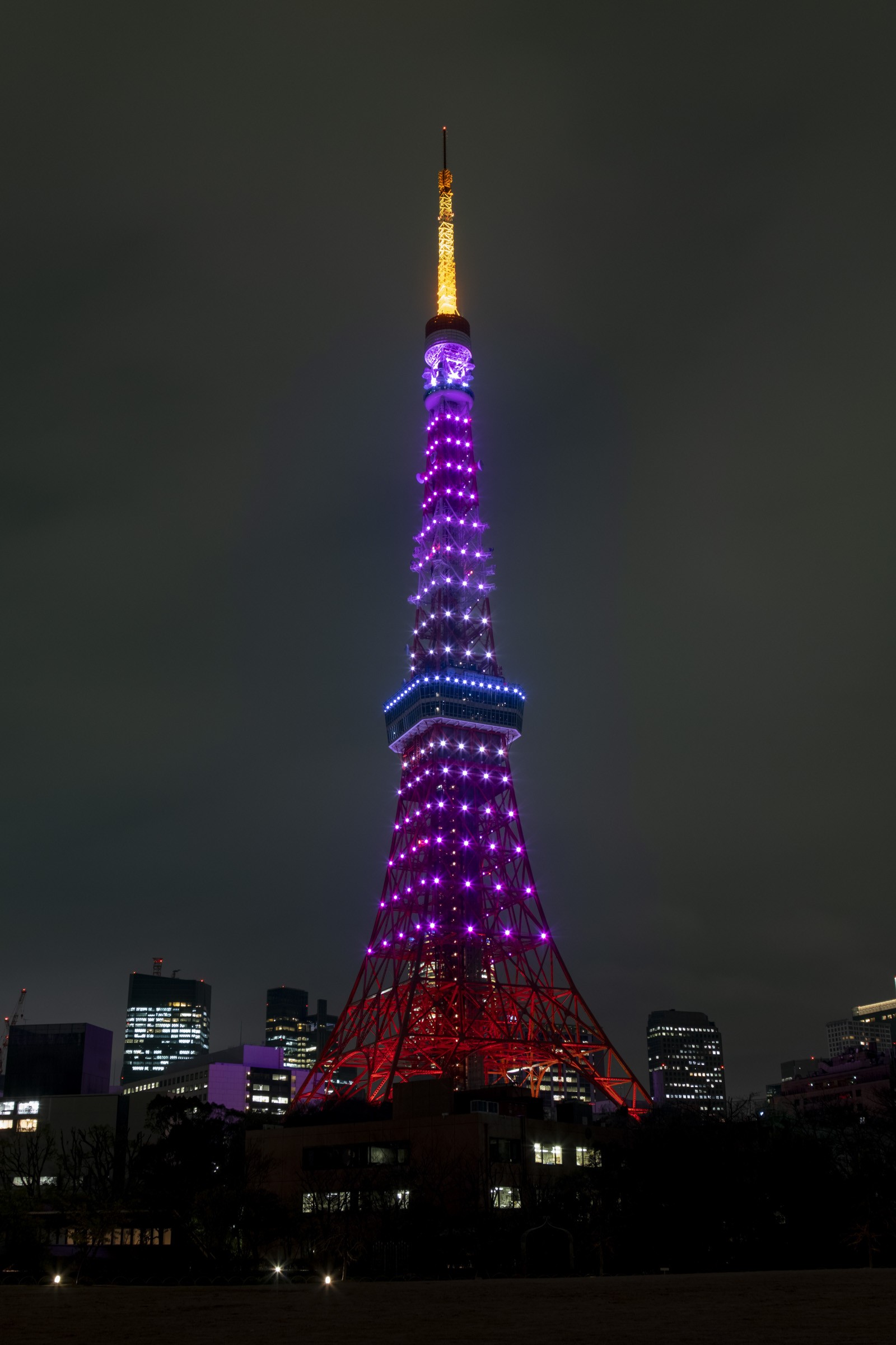 桜色の3月の東京タワー 縦 フリー写真有