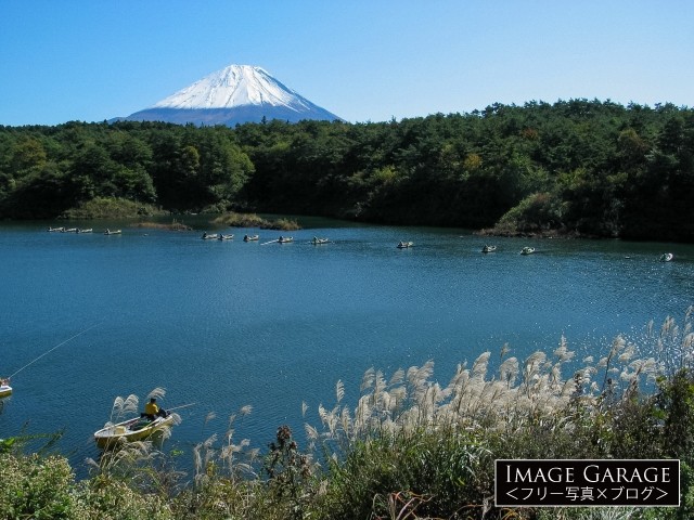 精進湖のヘラブナ釣りと富士山のフリー写真素材