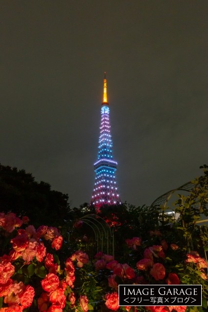 5月空色の東京タワーとバラ