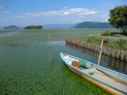琵琶湖・湖北湖岸の風景