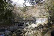 箱根堂ヶ島渓谷遊歩道・桜橋