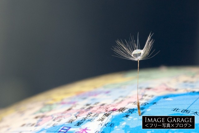 地球を旅するタンポポの綿毛・・的なのフリー画像（無料写真素材）