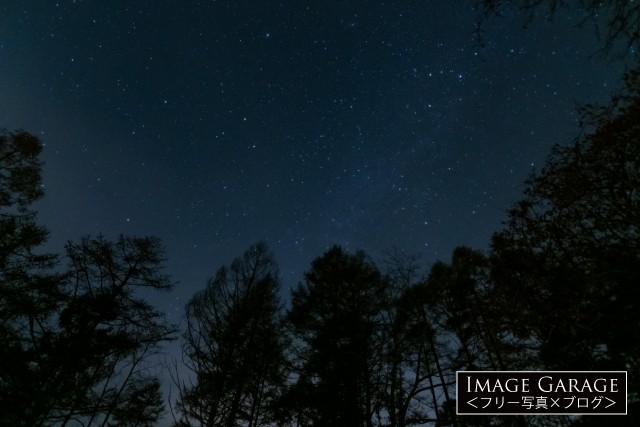 森の上の星空のフリー画像（無料写真素材）