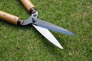 園芸用の刈込鋏の刃