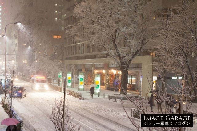 平成26年豪雪・東京に降った大雪