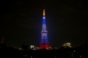 7月海色の東京タワーの夜景