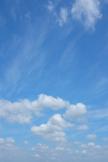 綿雲のある7月の青空（縦）