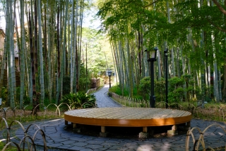 竹林の小径と円形のベンチ
