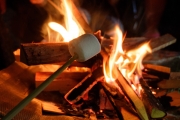 焚き火で作るマシュマロ焼き