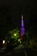 9月秋草色の東京タワー（増上寺北側の路地）
