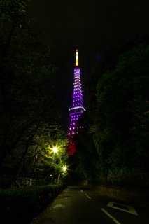 紫色の東京タワー（増上寺北側の路地より）