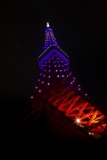 9月秋草色の東京タワー（真下から）