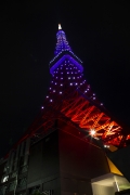 9月秋草色の東京タワー（真下より）