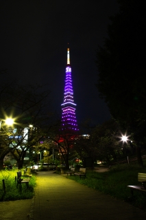 9月秋草色の東京タワー（芝公園赤羽橋付近）