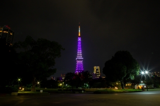 芝公園から眺めた東京タワーの夜景（紫色）