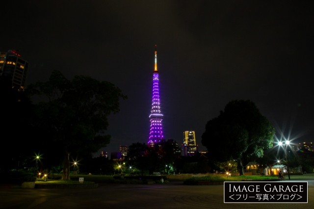 芝公園から眺めた東京タワー（紫色）のフリー写真素材（無料画像）