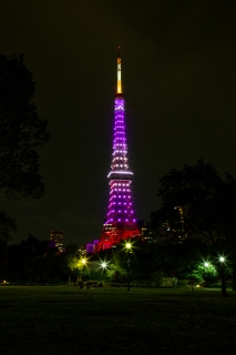 9月秋草色の東京タワー（芝公園広場）