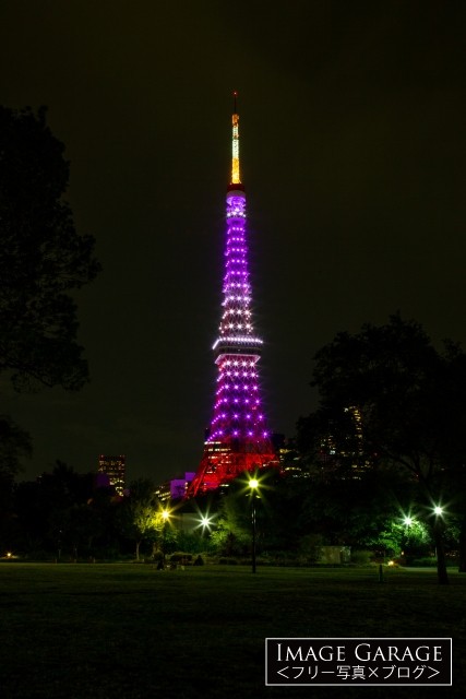 9月秋草色の東京タワー（芝公園広場）のフリー写真素材（無料画像）